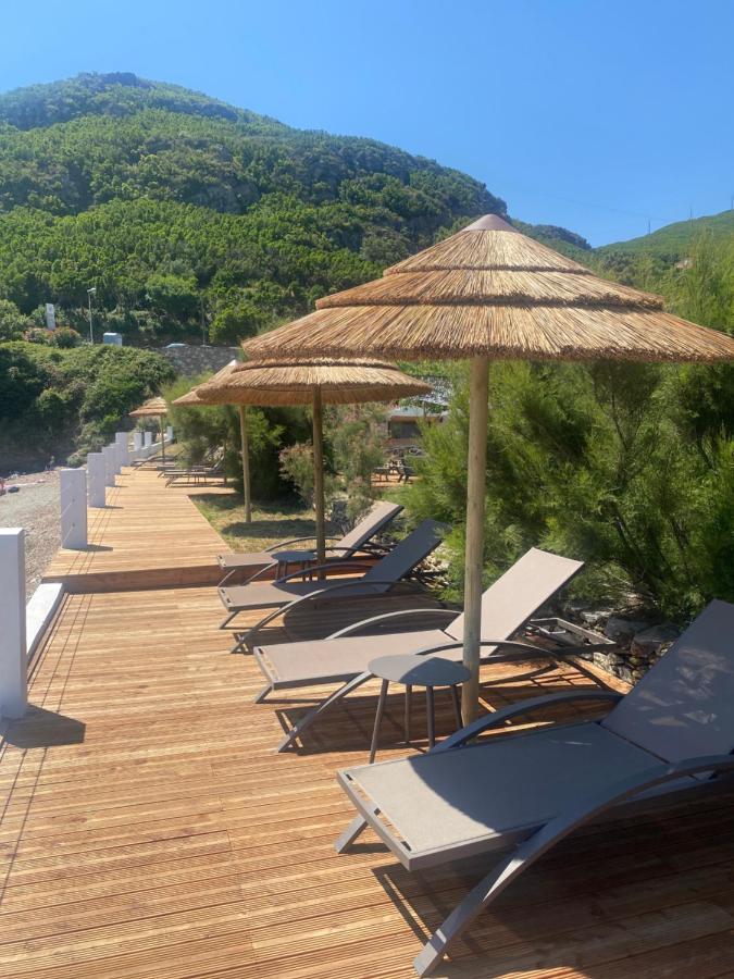 Domaine U Pozzu Apartman Sisco Kültér fotó
