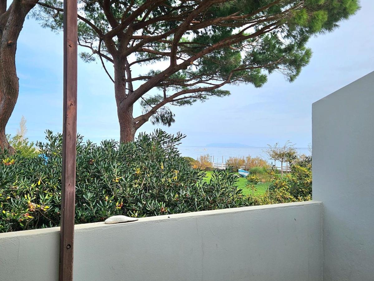 Domaine U Pozzu Apartman Sisco Kültér fotó